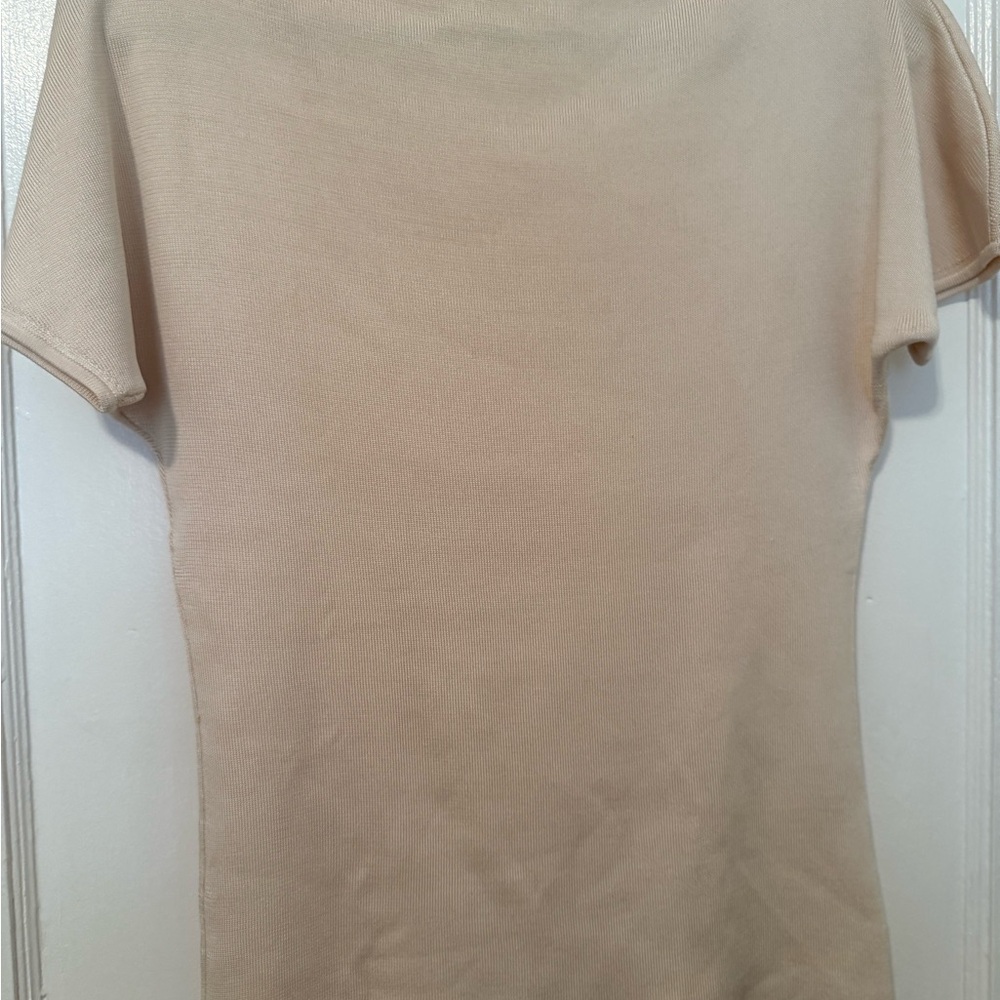 Dana Buchman Beige Short Sleeve Top